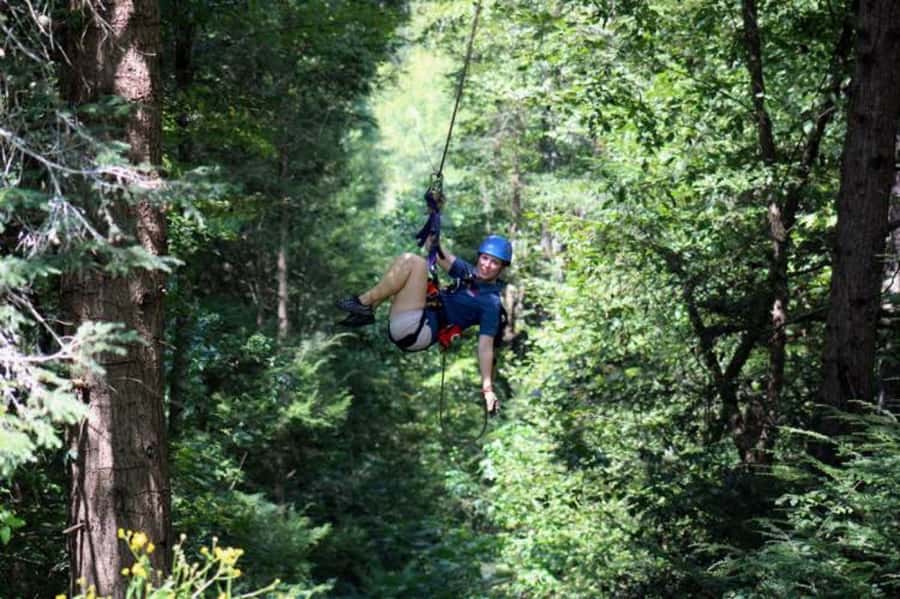 Sevierville: Waterfall Canopy Zip Lining in Smoky Mountains - Why the guides matter so much