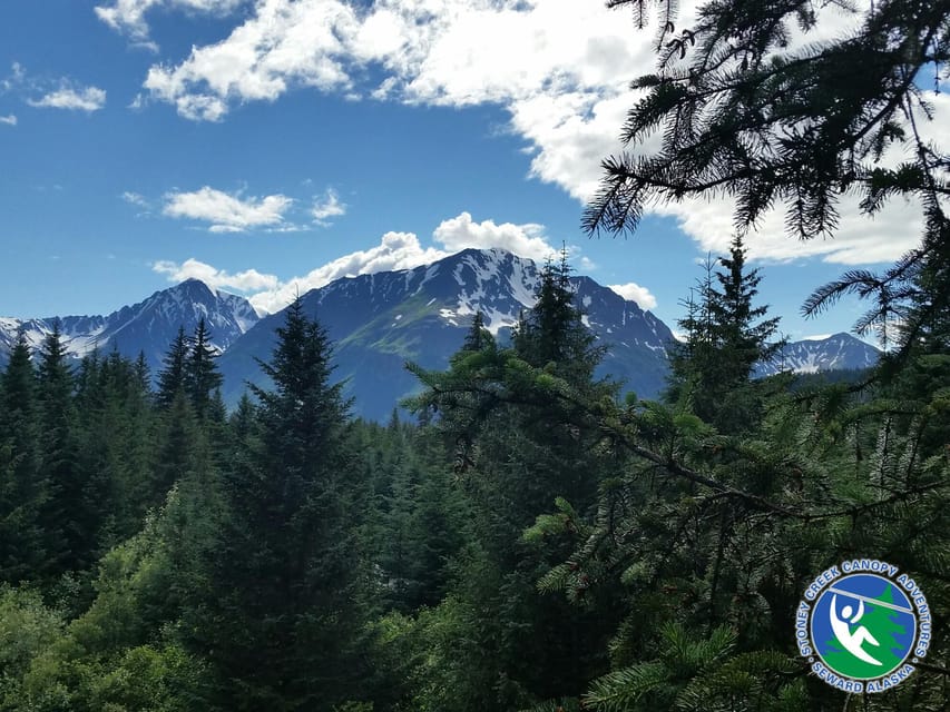 Seward: Stoney Creek Canopy Tour with Zipline - Key points to know before you book