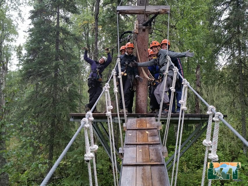 Seward: Stoney Creek Canopy Tour with Zipline - The forest grows darker after the upper valley lines