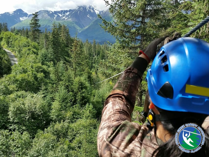 Seward: Stoney Creek Canopy Tour with Zipline - Is $179 a fair price for 2.5 hours?