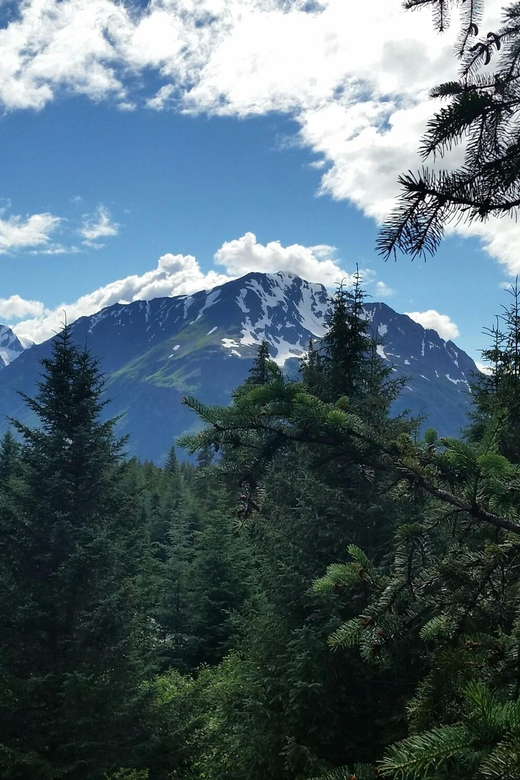 Seward: Stoney Creek Canopy Tour with Zipline - Who will enjoy Stoney Creek most?