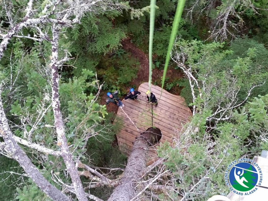 Seward: Stoney Creek Canopy Tour with Zipline - Practical timing for a Seward day