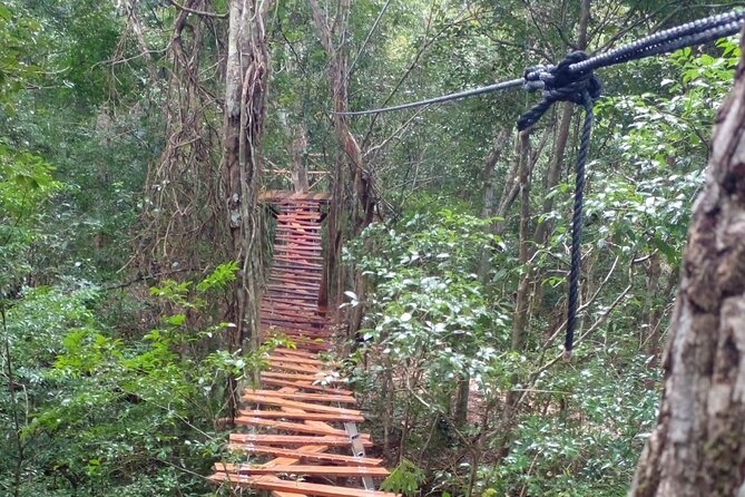 Shared ATV's and Zip Lines and Swimming in a Real Cenote. - Lunch and the value of a $72 outing