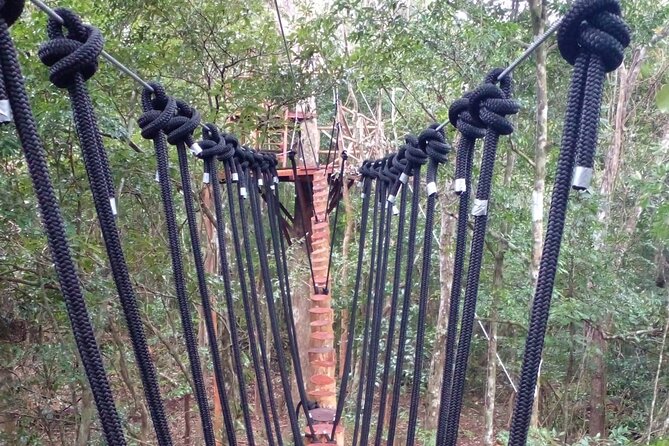 Shared ATV's and Zip Lines and Swimming in a Real Cenote. - Pickup details, equipment, and small costs