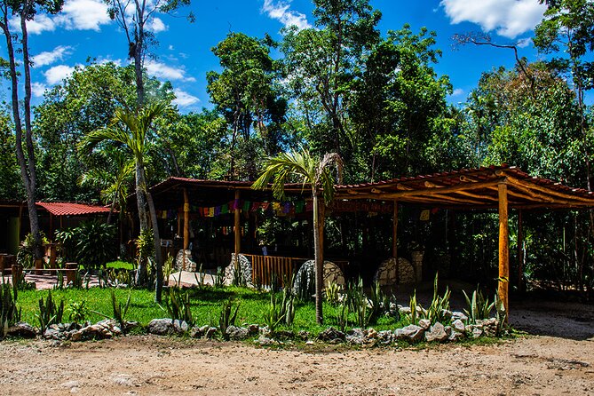 Shared ATV, Zipline, and Cenote Adventure from Playa del Carmen - Cooling off in the cenote