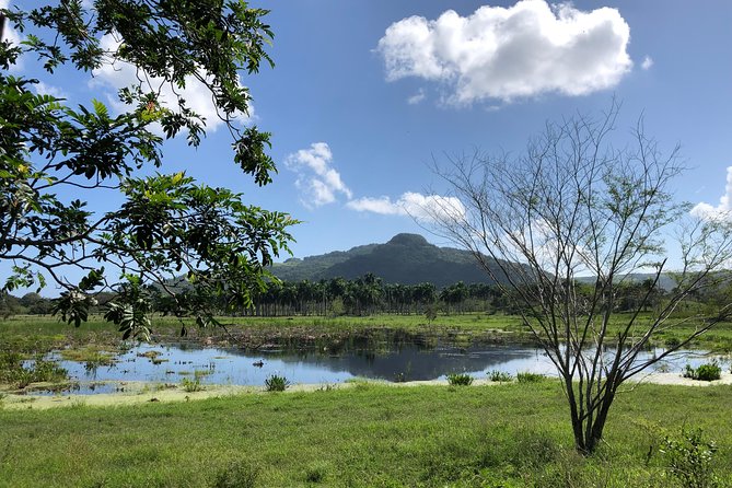 Shore Excursion: V.I.P. DayPass: ATV, Zip Lines, Horseback Riding & Lunch - What the $159.99 price really covers