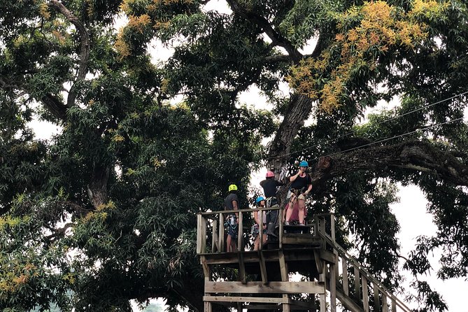Shore Excursion: Zip Line Adventure - Who will enjoy this Amber Cove excursion?