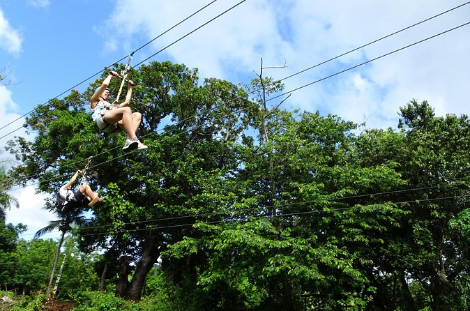 Shore Excursion: Zip Line Adventure - Timing, weather, and what to bring