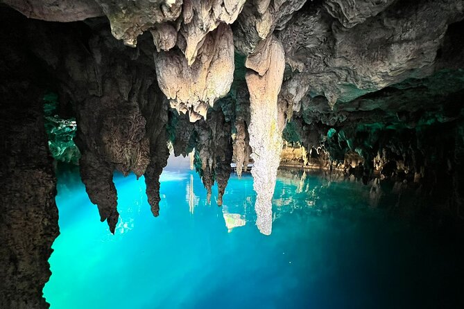 Single ATV, Horseback Riding, Ziplines and Cenote Swim - The cenote swim is the best cooldown