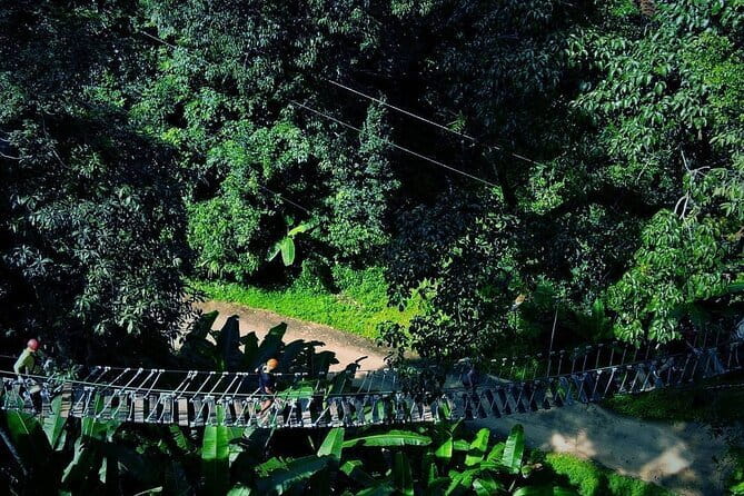 Sky Hawk Zipline Chiang Mai – Ultimate Canopy Adventure - Getting fitted for the zipline course