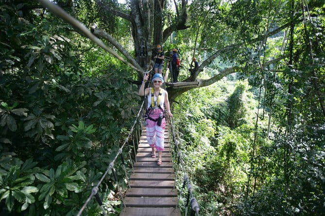 Sky Hawk Zipline Chiang Mai – Ultimate Canopy Adventure - Choosing between Bronze, Silver, and the longer options