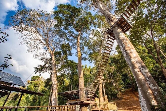 Sky Hawk Zipline Experience in Chiang Mai - Who should book Sky Hawk?
