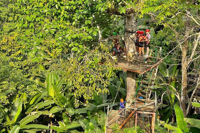 Sky Hawk Zipline Experience in Chiang Mai - The 18 ziplines and high forest platforms