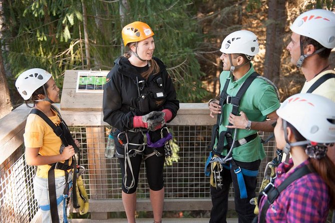 Small-Group Zipline Adventure in Queenstown - Flying above Queenstown’s forest canopy