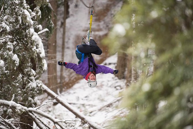 Small-Group Zipline Adventure in Queenstown - Why the guides matter so much