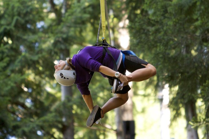 Small-Group Zipline Adventure in Queenstown - Price, gondola costs, and real value