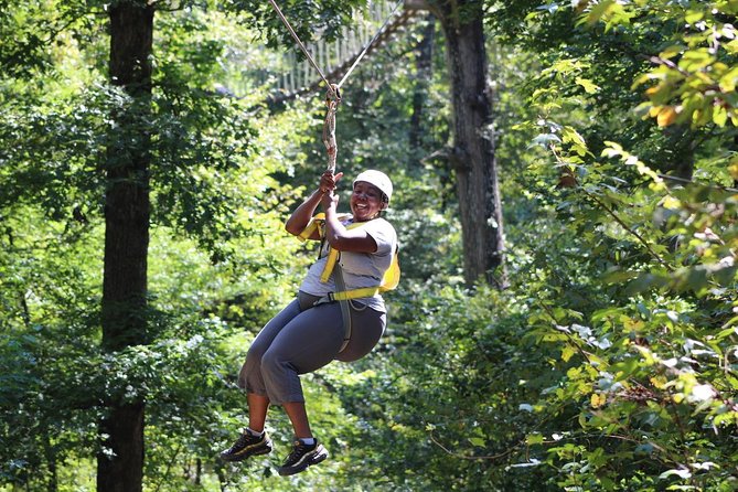 Small-Group Zipline Tour in Hot Springs - Flying through the forest near Hot Springs