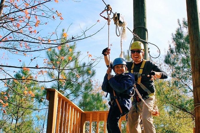Small-Group Zipline Tour in Hot Springs - Who will enjoy this most?
