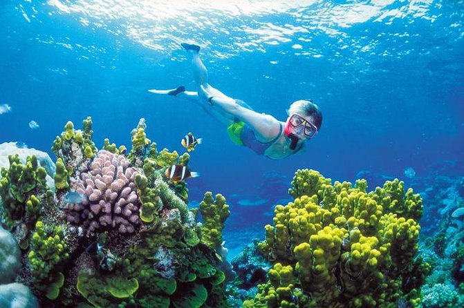 Snorkel, ATV, Zipline and Cenote Adventure from Cancun - A Speedboat Start at Puerto Morelos