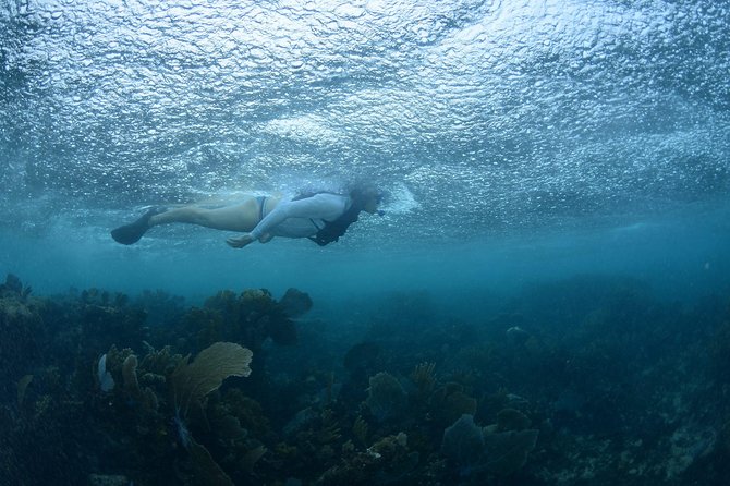 Snorkel, ATV, Zipline and Cenote Adventure from Cancun - Food, Water, and the Real Length of the Day