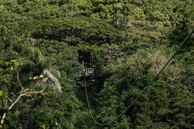 St. Kitts Zipline Experience - Line 1: learning the system without pressure
