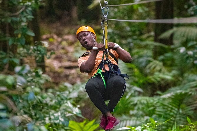 St. Lucia 3 in 1 Combo: Aerial Tram, Rainforest Trail & Zipline - Key details before you book