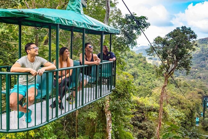 St. Lucia 3 in 1 Combo: Aerial Tram, Rainforest Trail & Zipline - The aerial tram brings a quiet start