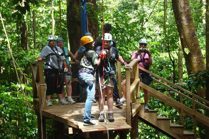 St. Lucia 3 in 1 Combo: Aerial Tram, Rainforest Trail & Zipline - Is $107 a fair price?