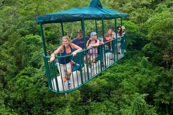 St. Lucia 3 in 1 Combo: Aerial Tram, Rainforest Trail & Zipline - Who will enjoy this most