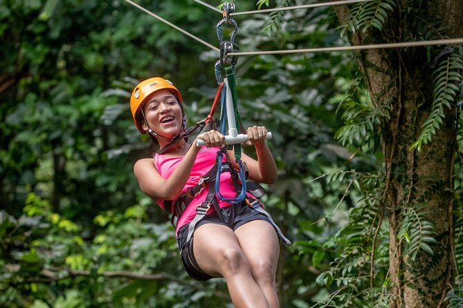 St. Lucia 3 in 1 Combo: Aerial Tram, Rainforest Trail & Zipline - The trail adds meaning to the forest