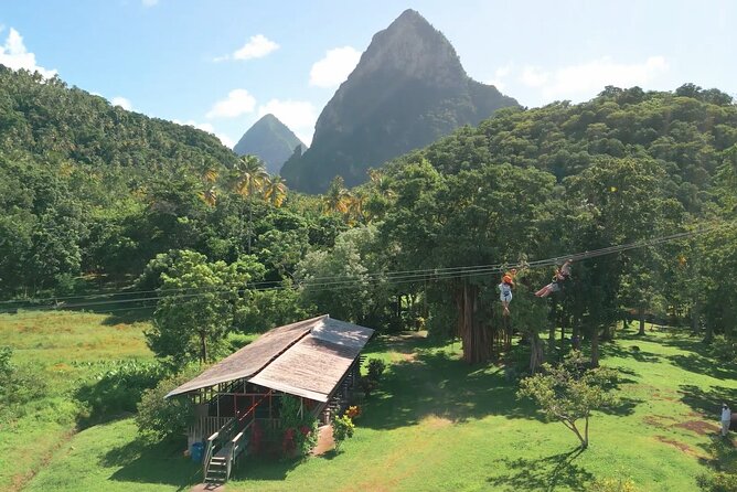 St. Lucia Morne Coubaril Estate Zipline Experience - What happens during the one-hour session