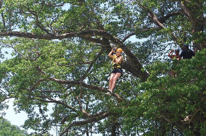 St. Lucia Morne Coubaril Estate Zipline Experience - Timing, transport, and group size