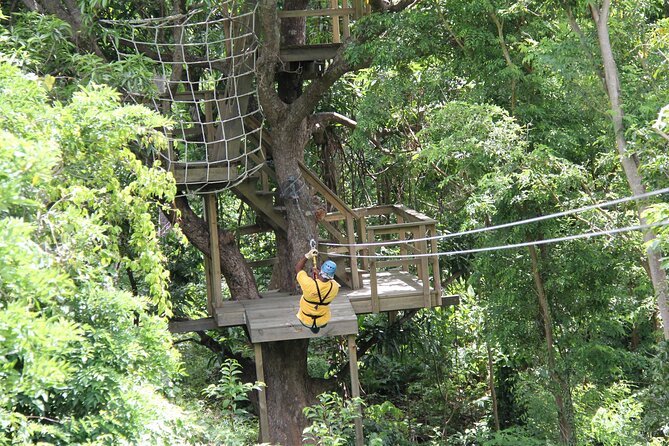 St. Lucia Morne Coubaril Estate Zipline Experience - Booking and cancellation details
