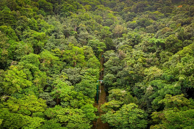 St Lucia Ultimate 3: Aerial Tram, Zipline and Hiking at Rainforest Adventures - The aerial tram through St Lucia’s canopy