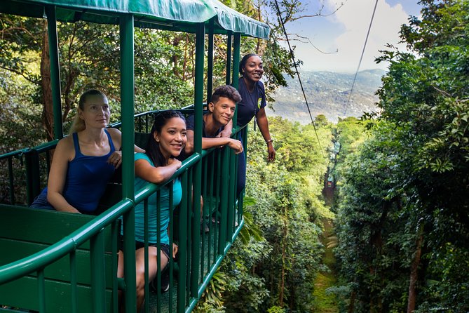 St Lucia Ultimate 3: Aerial Tram, Zipline and Hiking at Rainforest Adventures - How good is the value at $115?