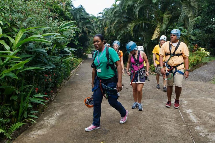 St Lucia Ultimate 3 Package: Aerial Tram Zip Line & Hiking - The aerial tram is the calmest part