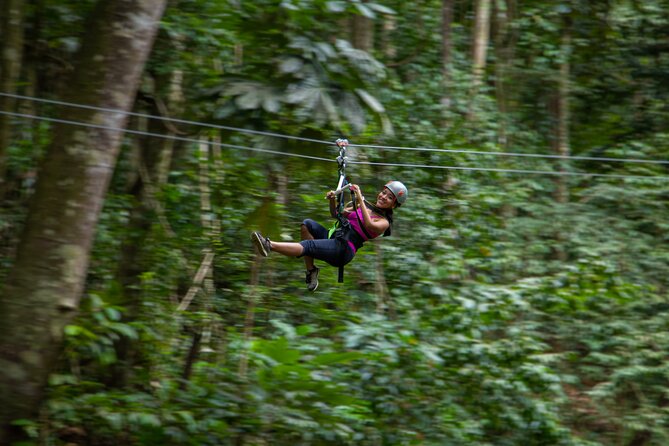 St Lucia Ultimate 3 Package: Aerial Tram, Zipline and Hiking - Eight Zipline Runs Through the Canopy
