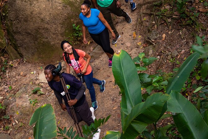 St Lucia Ultimate 3 Package: Aerial Tram, Zipline and Hiking - Group Size, Comfort, and What to Bring
