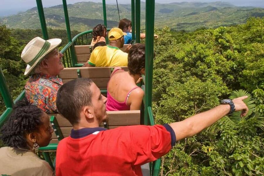 St. Lucia: Zip Line, Aerial Tram, and Hiking Tour - The aerial tram offers a calm start