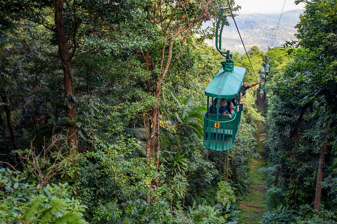 St. Lucia Zip line, Aerial Tram and Hiking tour Ultimate 3 - A rainforest tour with two very different speeds