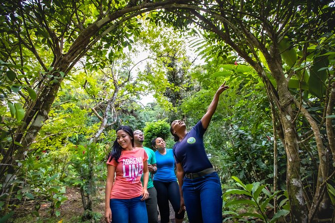 St. Lucia Zip line, Aerial Tram and Hiking tour Ultimate 3 - Eight canopy lines, with a practice run first