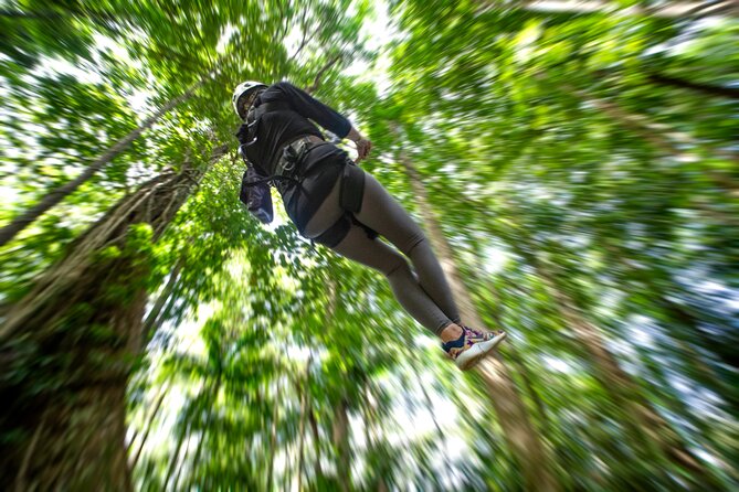 St. Lucia Zip line, Aerial Tram and Hiking tour Ultimate 3 - The second hike and the ride back down