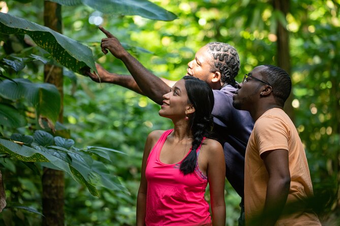 St. Lucia Zip line, Aerial Tram and Hiking tour Ultimate 3 - Safety, age, and physical requirements