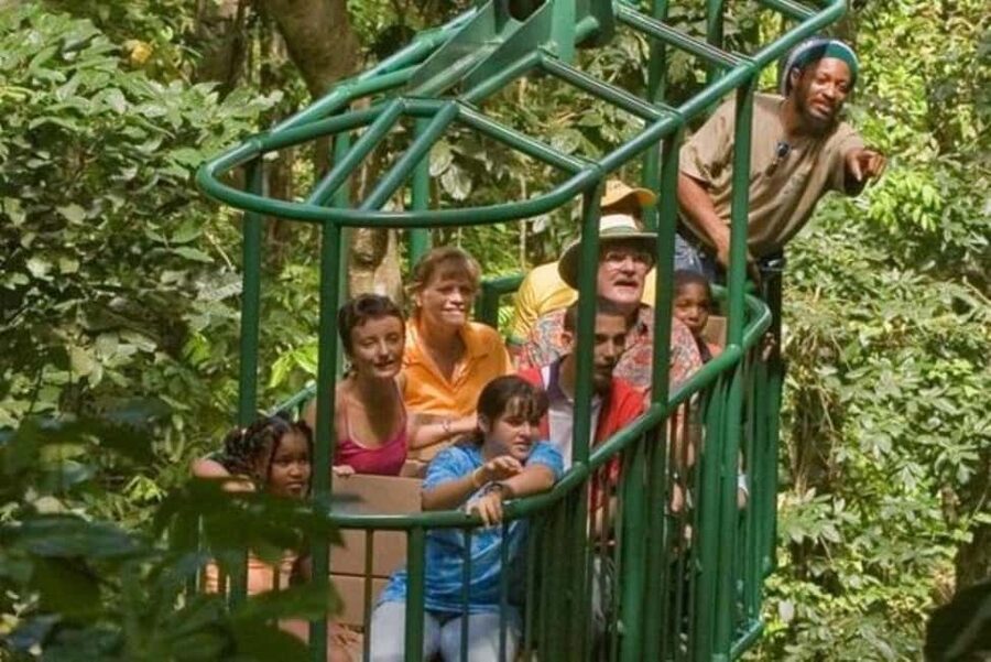 St. Lucia: Zip Line, Aerial Tram, and Hiking Tour - Ten ziplines bring the biggest rush