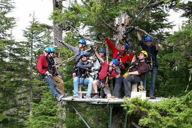 Stoney Creek Canopy Adventure - Leaving Seward for the Stoney Creek forest