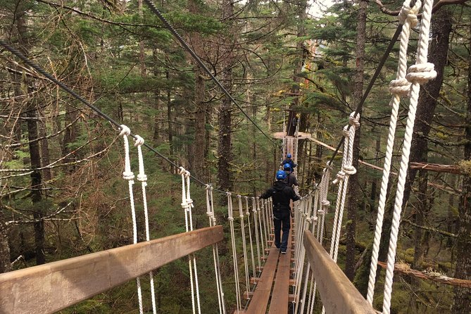 Stoney Creek Canopy Adventure - Suspension bridges and aerial platforms