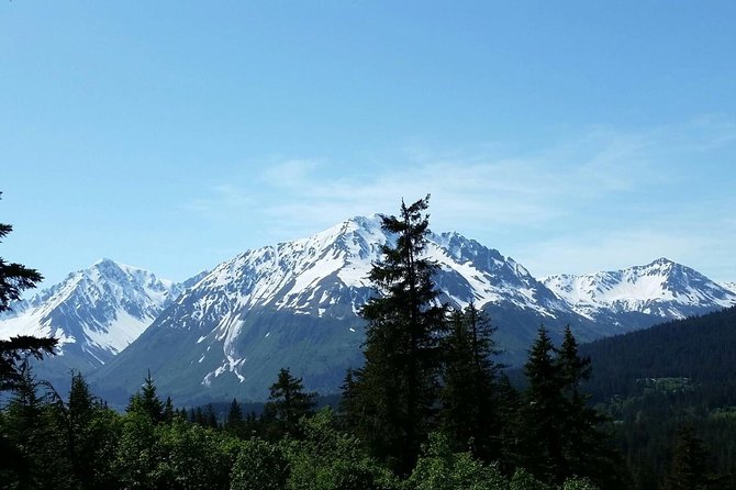 Stoney Creek Canopy Adventure - Safety, fitness, and what to wear