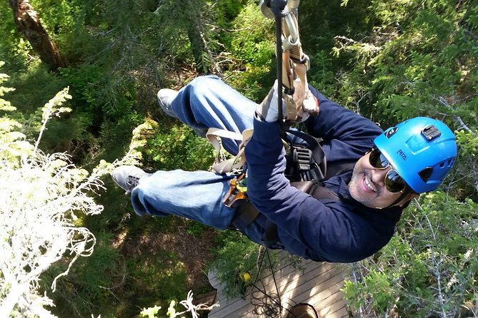 Stoney Creek Canopy Adventure - Eight ziplines through old-growth forest