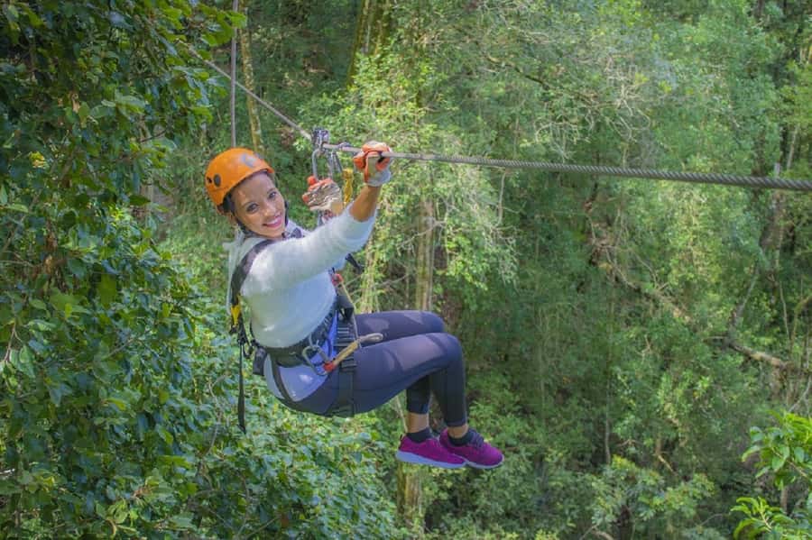 Storms River: Tsitsikamma National Park Zipline Canopy Tour - Key points to know