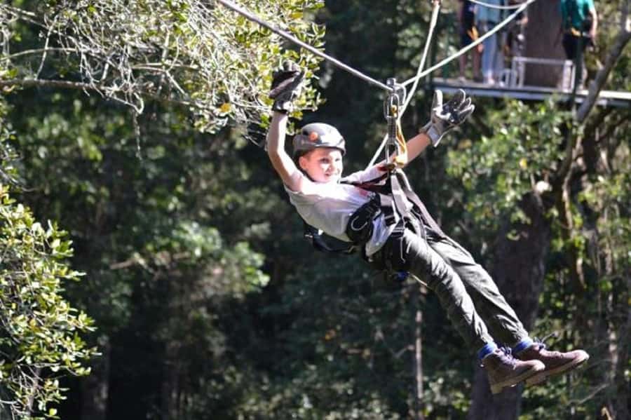Storms River: Tsitsikamma National Park Zipline Canopy Tour - Moving from yellowwood to yellowwood